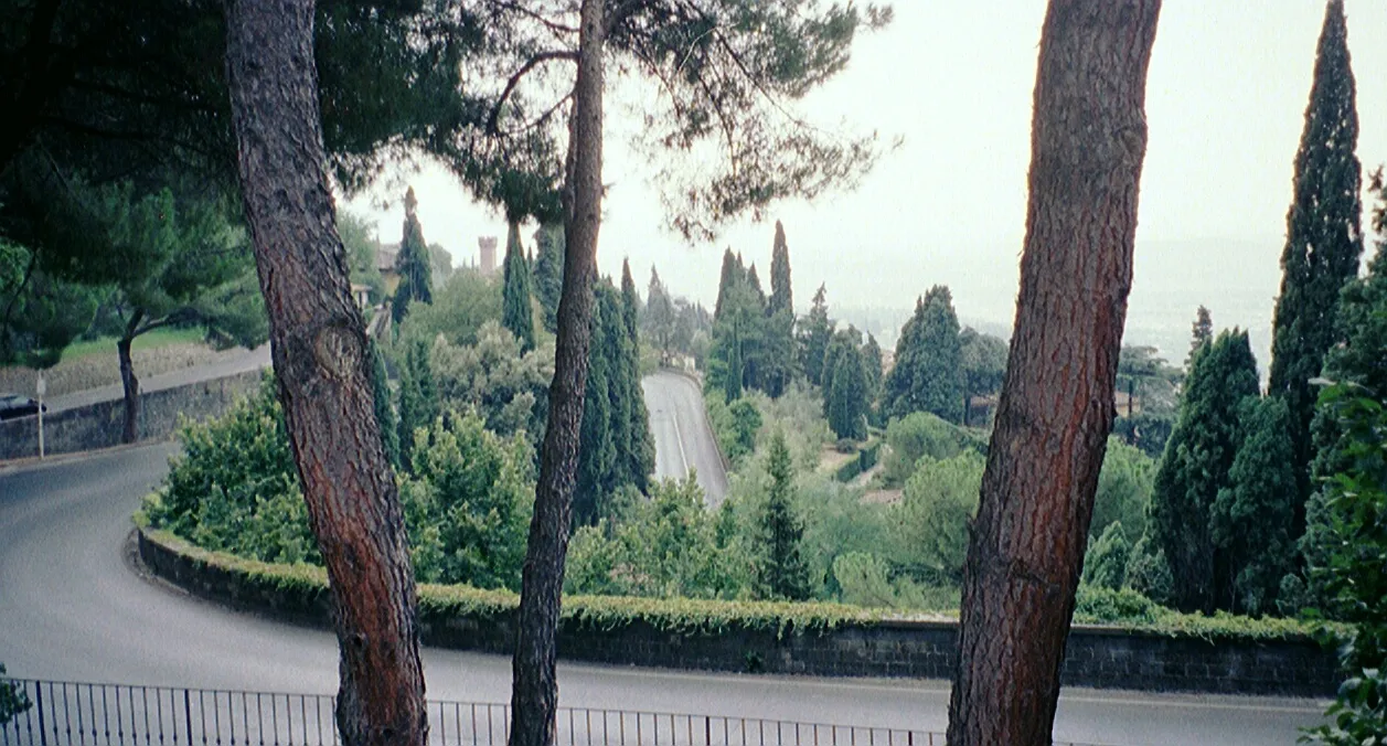 The view en route to walking up to Fiosole