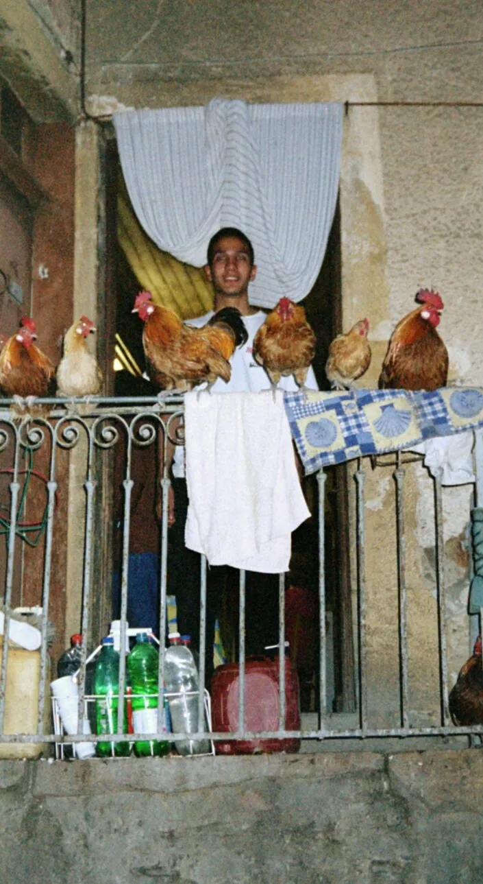 Kunal next to the coolest chickens in the world