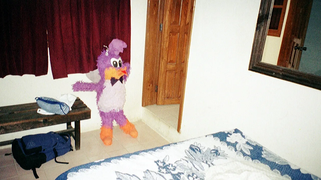 The bird as it lived at the beginning in mine and Toshi's room