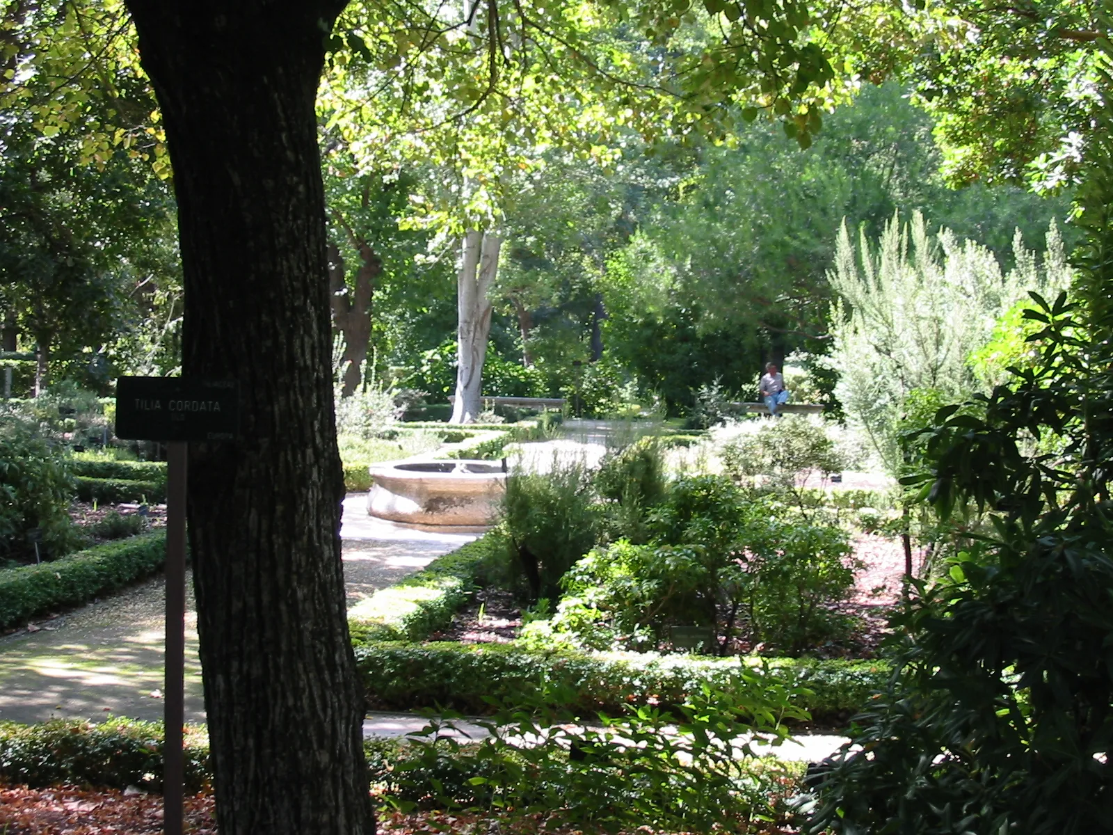 Botanical Gardens path