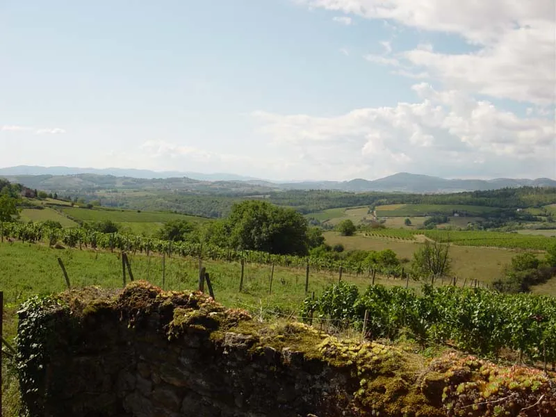 The french countryside... c'est tres jolie