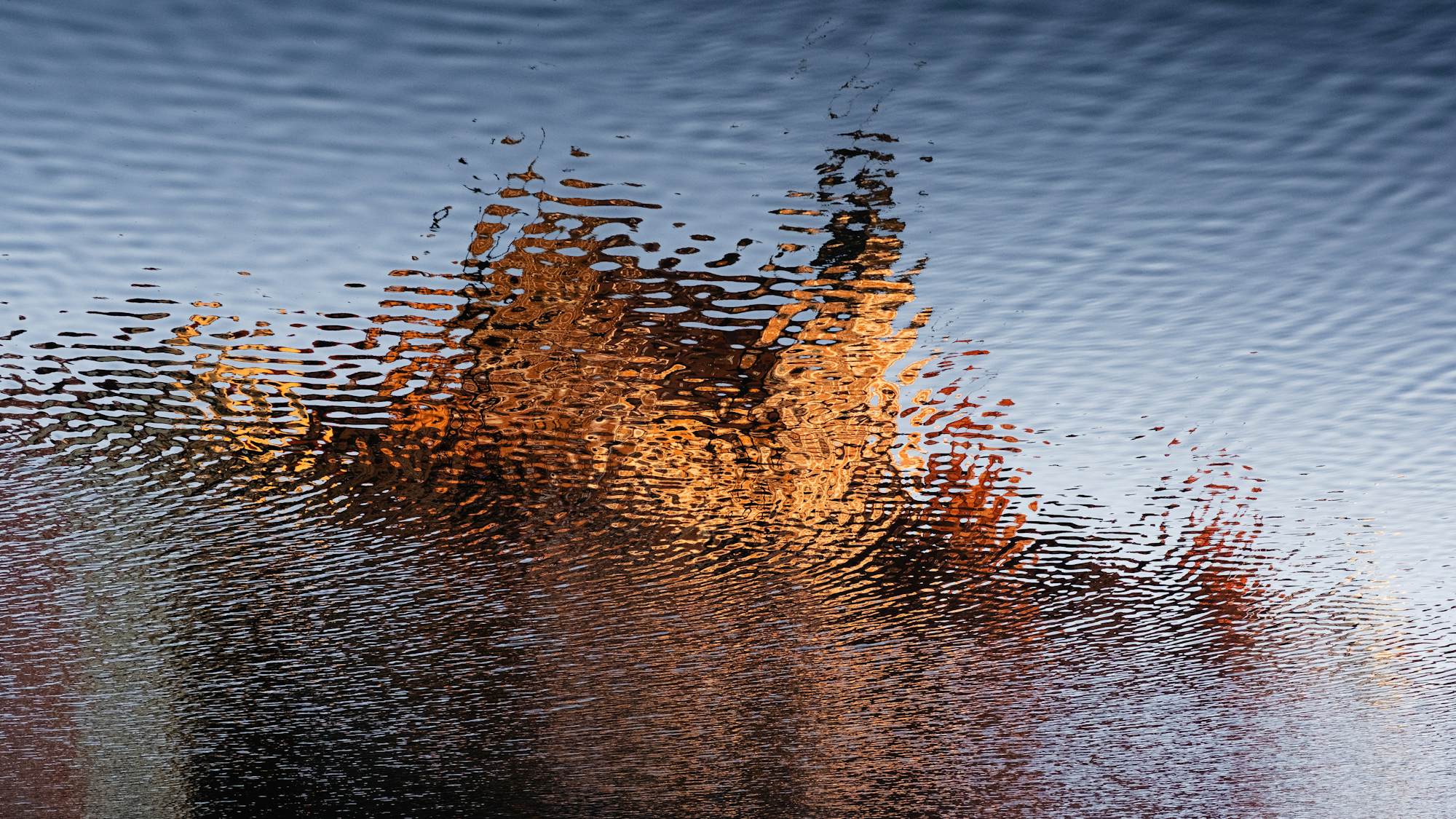 RAG evaluation: Why user feedback beats automated metrics