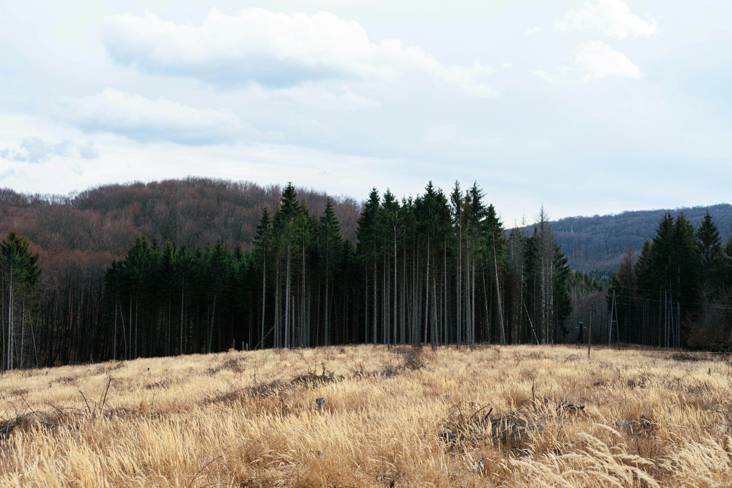 Go slow to go fast: why your AI transformation timeline should be longer