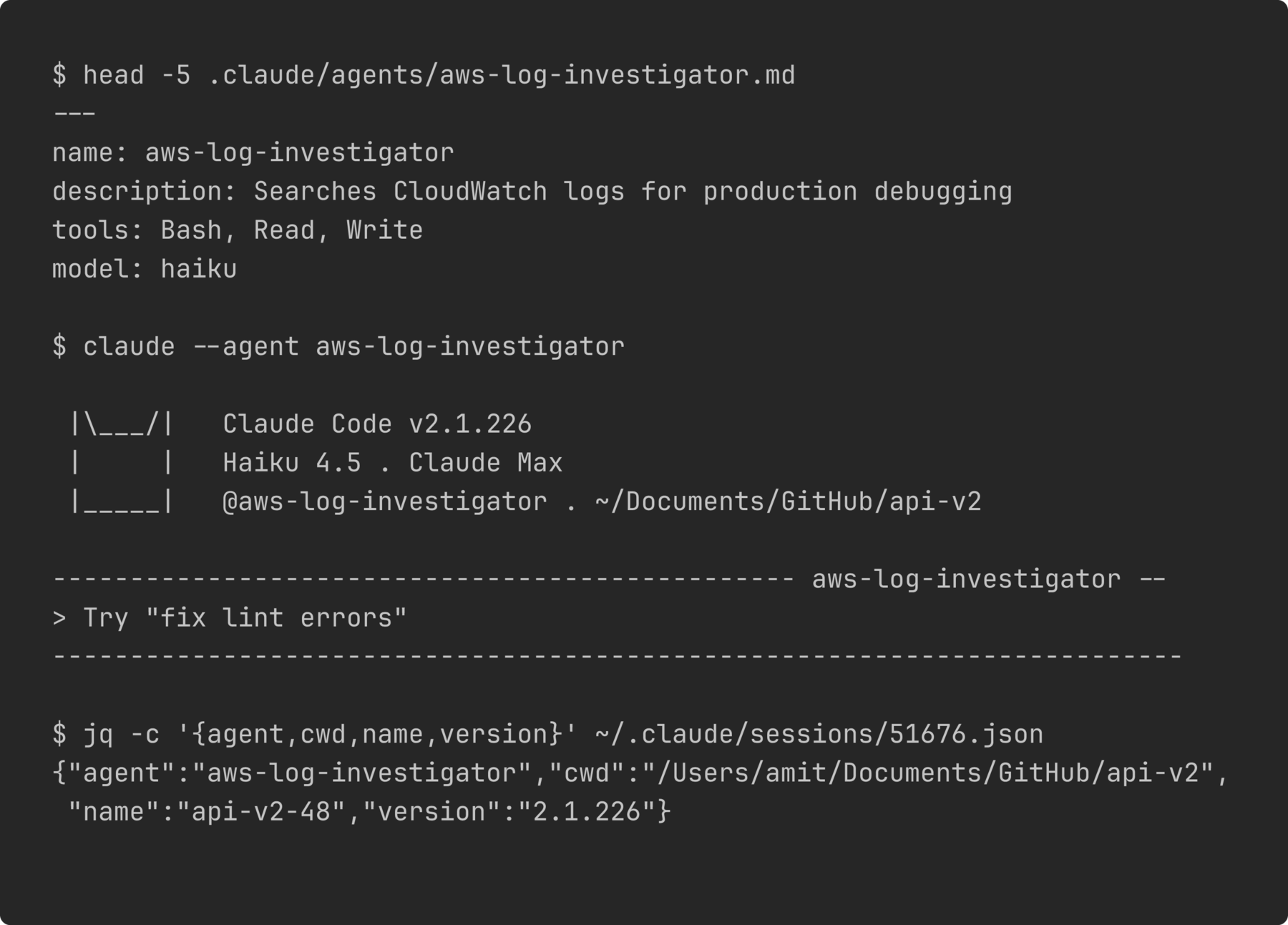 A Claude Code session launched with --agent takes the agent definition's name, tool list and model, and records that role in its own session registry file